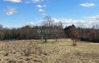 Land - Sale - ISTARSKA - GROŽNJAN - MARTINČIĆI