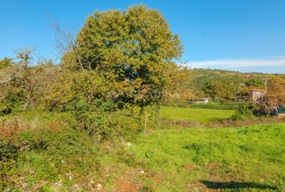 Zemljište - Prodaja - ISTARSKA - MOTOVUN - MOTOVUN