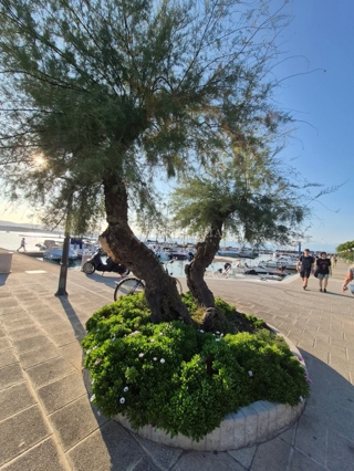 Flat - Sale - PRIMORSKO-GORANSKA - KRK - MALINSKA