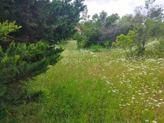 Grundstück - Verkauf - LIČKO-SENJSKA - SENJ - JABLANAC