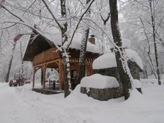 Kuća - Prodaja - KARLOVAČKA - TOUNJ - ZDENAC