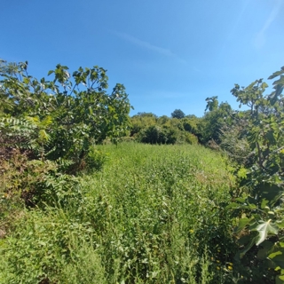 Land - Sale - PRIMORSKO-GORANSKA - KRK - MILOHNIĆI