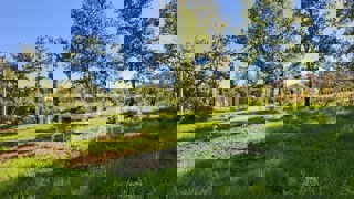 Land - Sale - ISTARSKA - KAROJBA - KAROJBA