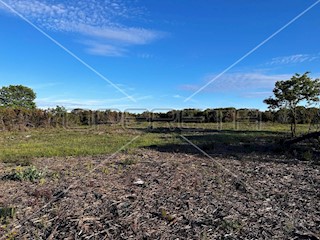 Land - Sale - ISTARSKA - MEDULIN - MEDULIN
