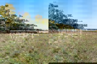 Land - Sale - ISTARSKA - LIŽNJAN - LIŽNJAN