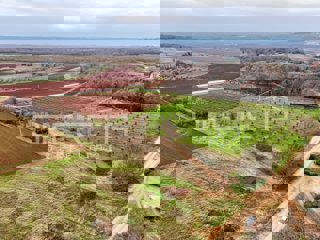 Zemljište - Prodaja - ISTARSKA - POREČ - POREČ