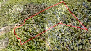 Land - Sale - DUBROVAČKO-NERETVANSKA - KORČULA - VELA LUKA