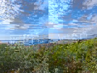 Land - Sale - SPLITSKO-DALMATINSKA - PODSTRANA - PODSTRANA