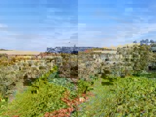 Zemljište - Prodaja - ISTARSKA - UMAG - UMAG