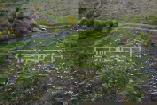 Land - Sale - ISTARSKA - LABIN - LABIN