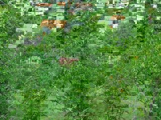 Zemljište - Prodaja - GRAD ZAGREB - ZAGREB - PODSLJEME