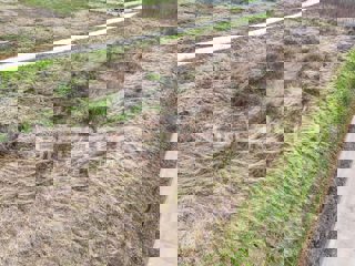 Land - Sale - ISTARSKA - VIŽINADA - VIŽINADA