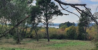 Grundstück - Verkauf - ISTARSKA - POREČ - POREČ