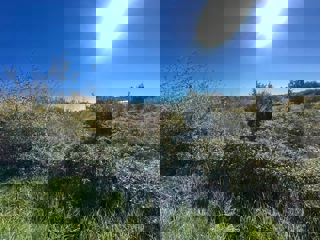 Land - Sale - ISTARSKA - KAŠTELIR - LABINCI - LABINCI