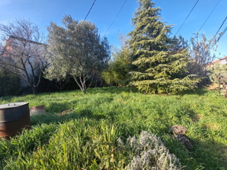 Land - Sale - ISTARSKA - PULA - PULA