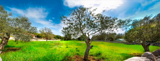 Land - Sale - ISTARSKA - VODNJAN - VODNJAN