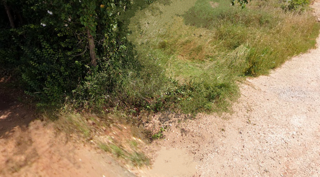Land - Sale - ISTARSKA - MARČANA - LOBORIKA