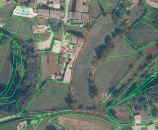 Grundstück - Verkauf - ISTARSKA - MARČANA - FILIPANA