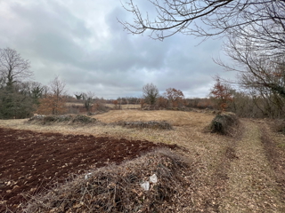 Land - Sale - ISTARSKA - ŽMINJ - ŽMINJ