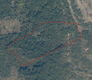 Zemljište - Prodaja - ISTARSKA - BALE - BALE