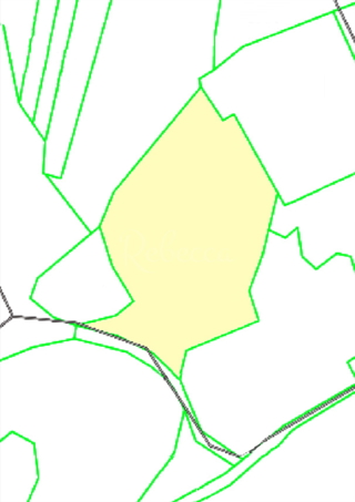 Land - Sale - ISTARSKA - MARČANA - FILIPANA