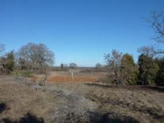 Land - Sale - ISTARSKA - MARČANA - MARČANA