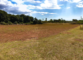 Zemljište - Prodaja - ISTARSKA - SVETVINČENAT - SVETVINČENAT