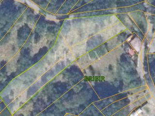 Land - Sale - PRIMORSKO-GORANSKA - VINODOLSKA OPĆINA - BRIBIR