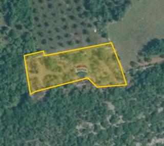 Grundstück - Verkauf - ISTARSKA - KANFANAR - MRGANI