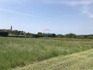 Grundstück - Verkauf - ISTARSKA - VIŠNJAN - VIŠNJAN