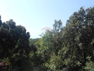 Zemljište - Prodaja - ISTARSKA - MARČANA - PERUŠKI