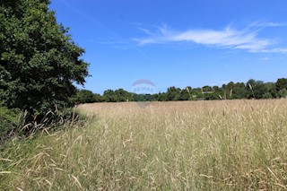 Land - Sale - ISTARSKA - PULA - PULA