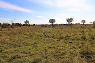 Zemljište - Prodaja - ISTARSKA - BALE - BALE