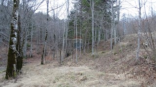 Grundstück - Verkauf - PRIMORSKO-GORANSKA - RAVNA GORA - RAVNA GORA