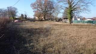 Land - Sale - ISTARSKA - TINJAN - KRINGA