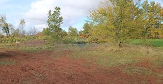 Land - Sale - ISTARSKA - ŽMINJ - LAGINJI