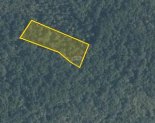 Land - Sale - ISTARSKA - ROVINJ - ROVINJ