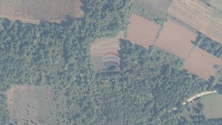 Land - Sale - ISTARSKA - POREČ - DRAČEVAC