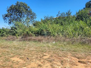 Land - Sale - ISTARSKA - PULA - PULA
