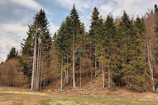 Land - Sale - PRIMORSKO-GORANSKA - FUŽINE - FUŽINE