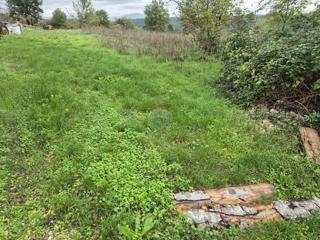 Land - Sale - ISTARSKA - TINJAN - TINJAN