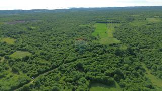 Land - Sale - ISTARSKA - BALE - BALE