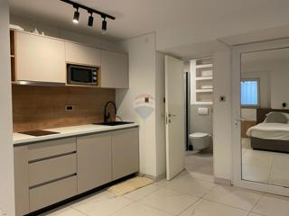 Flat - Rent - PRIMORSKO-GORANSKA - RIJEKA - RIJEKA