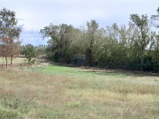 Land - Sale - ISTARSKA - MARČANA - LOBORIKA