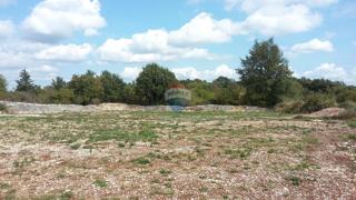 Grundstück - Verkauf - ISTARSKA - KANFANAR - KANFANAR