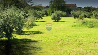 Zemljište - Prodaja - ISTARSKA - UMAG - UMAG