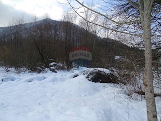 Land - Sale - PRIMORSKO-GORANSKA - DELNICE - BROD NA KUPI