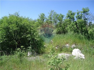 Land - Sale - PRIMORSKO-GORANSKA - RIJEKA - RIJEKA