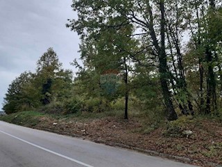 Land - Sale - ISTARSKA - ŽMINJ - ŽMINJ