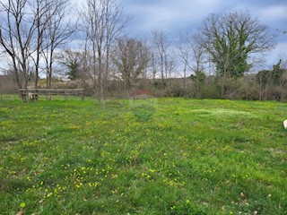 Land - Sale - ISTARSKA - BARBAN - MANJADVORCI